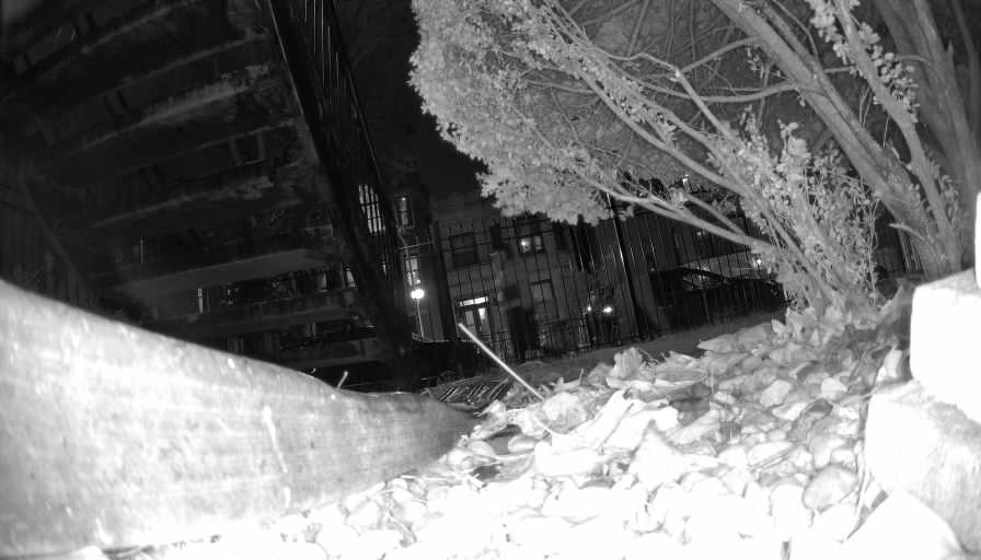 Reolink Camera Two_01_Reolink Home Hub One_20250111184133.jpg